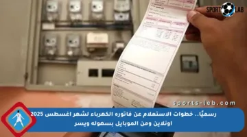 رسميًا.. خطوات الاستعلام عن فاتورة الكهرباء لشهر أغسطس 2025 أونلاين ومن الموبايل بسهولة ويسر